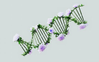 Epigenética: La Clave Invisible detrás de tu Salud y Enfermedades Crónicas